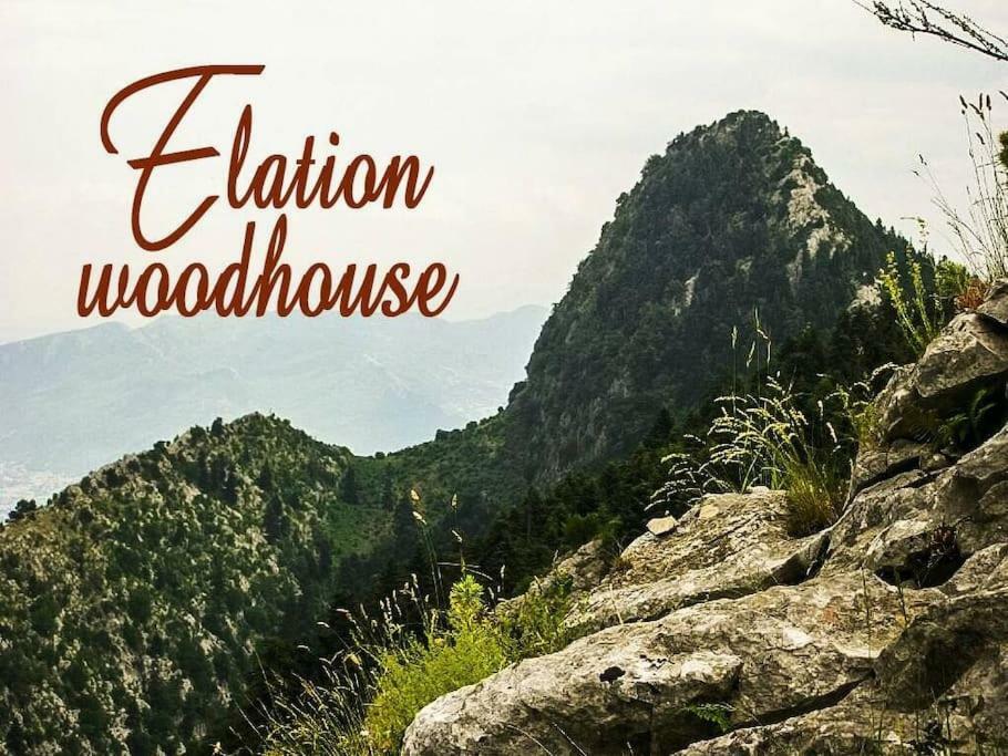 Apartamento Elation Woodhouse Exterior foto
